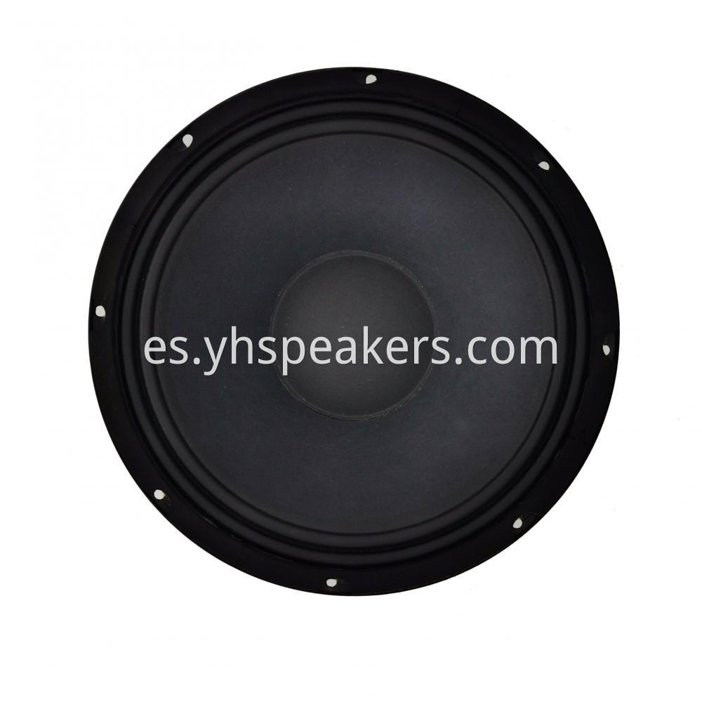 Popular 10 Inch PA Loudspeaker